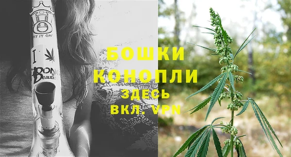 тгк Кукмор
