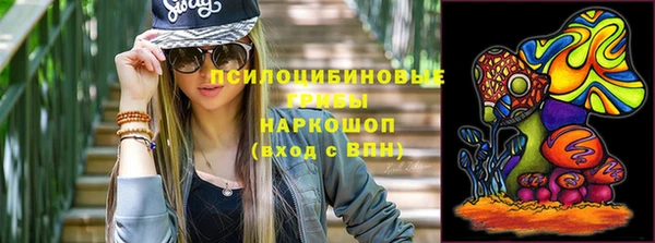 тгк Кукмор