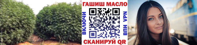 Дистиллят ТГК гашишное масло  Купить  Строитель 