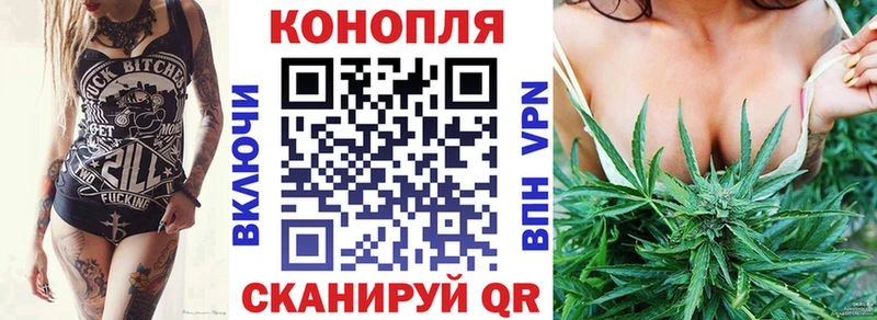 Конопля семена  Купить где  Строитель 